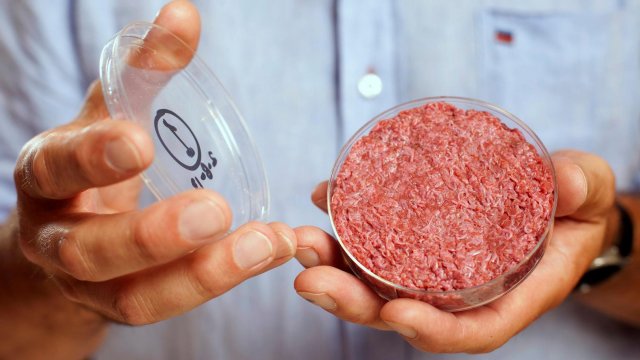 В Сингапуре одобрена продажа мяса, выращенного в лаборатории