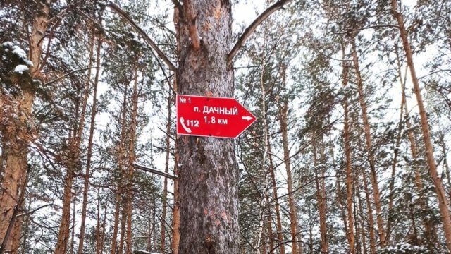 В лесах Омской области появятся указатели для потерявшихся путешественников
