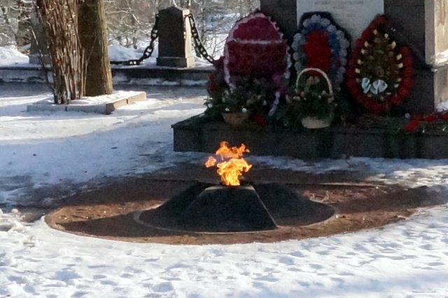 В Санкт-Петербурге дети затушили Вечный огонь в парке Красного села