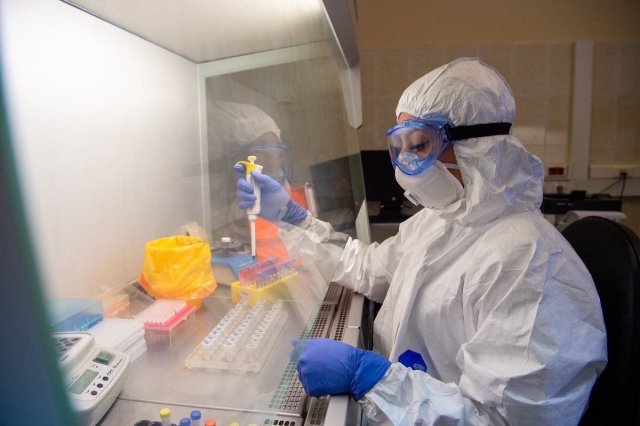 В ВОЗ начали изучать данные о «британском» штамме коронавируса