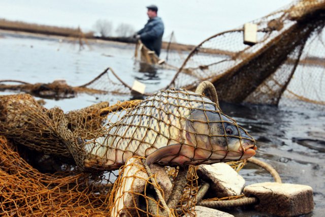 В Тверской области местного жителя будут судить за незаконную ловлю рыбы