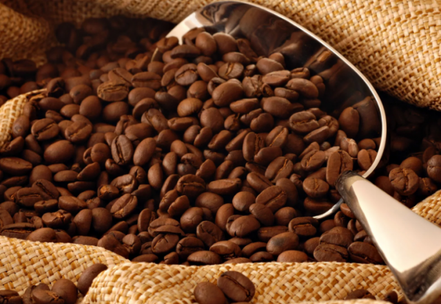 Способ определения подлинности кофе разработали учёные из Канады