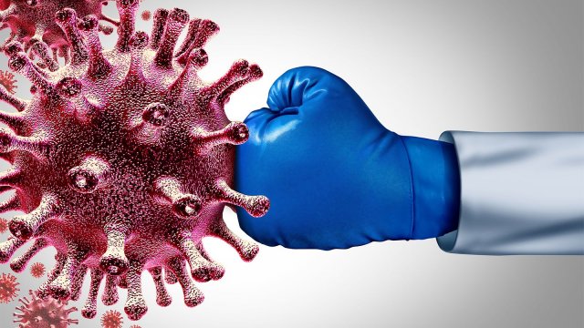 Новые данные о формировании иммунитета против коронавируса предоставлены врачами