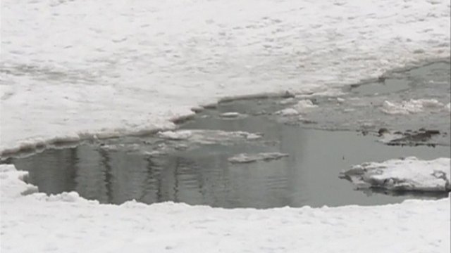 В Липецке на реке ребёнок провалился под лёд