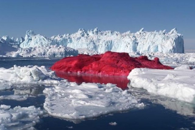 Цветной снег был обнаружен в Антарктиде