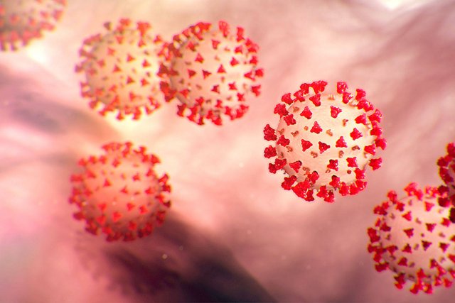 Гибридный штамм коронавируса выявили учёные
