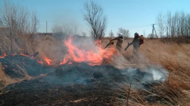 В Орловской области произошёл первый за 2021 год природный пожар