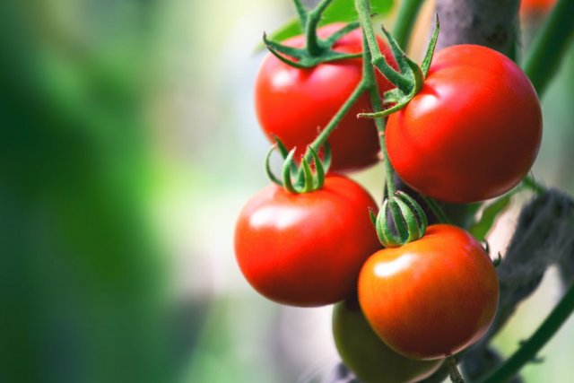 Эксперты рекомендуют чаще употреблять помидоры, чтобы справиться с весенней депрессией