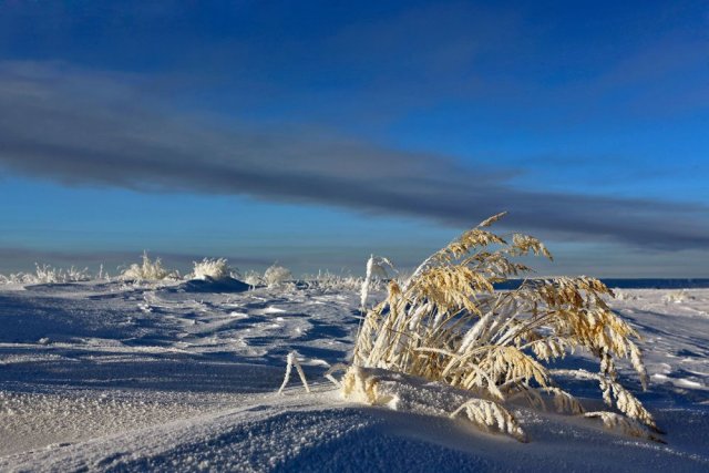 Учёные дали прогнозы о катаклизмах в Арктике