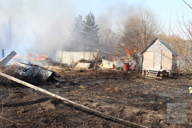 В Тамбовской области будет усилен контроль за выжиганием травы