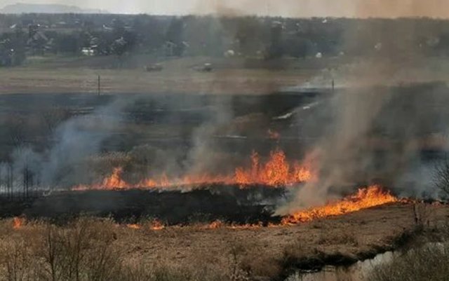 Крупные пожары бушуют в Саратовской области уже неделю