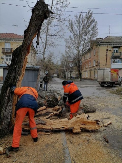 Школьница в Москве пострадала в связи с падением на неё дерева из-за сильного ветра
