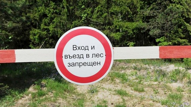 В Рязанской области введён запрет на посещение лесов