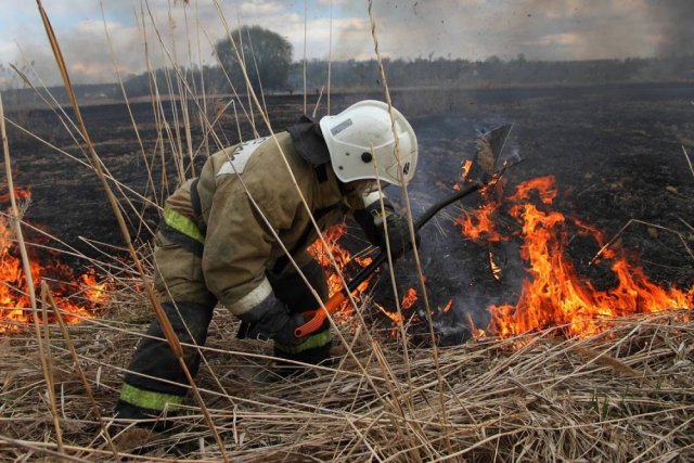 В Татарстане рассматривается вопрос о продлении особого противопожарного режима