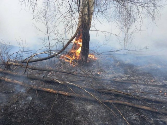 В Тюменской области зафиксировано 7 природных пожаров за один день