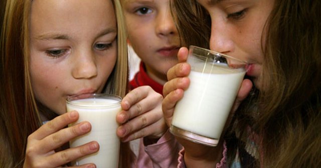 В Правительстве России будет решаться вопрос о регулярных поставках молока в школы