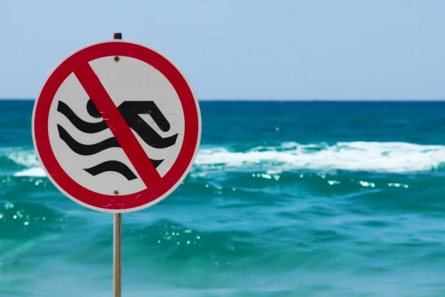 На Камчатке из-за кишечной палочки запрещено купание на одном из пляжей