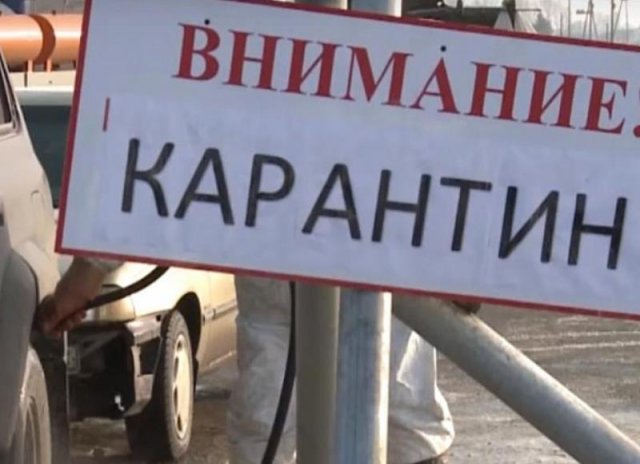 В одном из городов Саратовской области объявлен карантин по бешенству