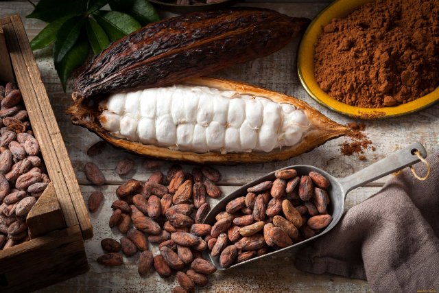 Учёные рассказали о положительном влиянии какао на зрение