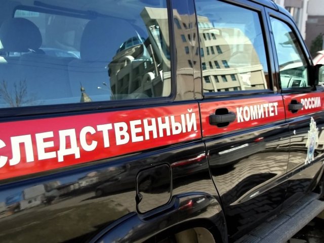 Следователи сообщили о проведении проверки по факту смерти рабочих в Тамбовской области