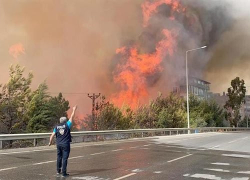 Из-за пожаров в Турции потерпевшими оказались более 50 человек