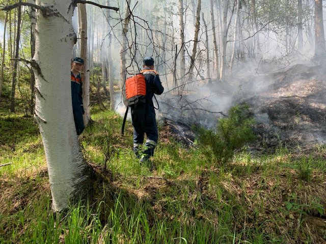 На Камчатке лесные пожары перестали быть опасными для населённых пунктов