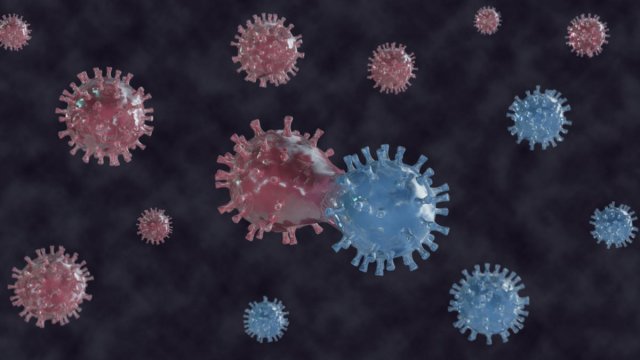 В ВОЗ не исключили, что мутация коронавируса «Дельта» может перейти в доминирующий штамм