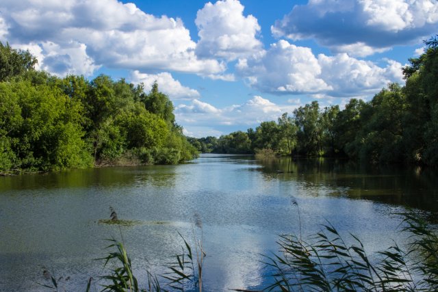 Экологи заявили, что состояние реки Усмань стало намного лучше