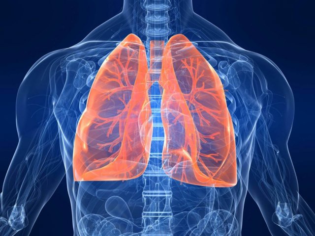 Резкие скачки веса могут спровоцировать разрушение лёгких