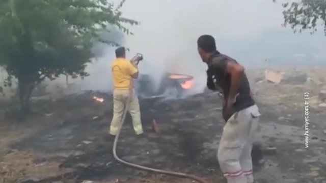Свыше 40 территориальных населений пострадали из-за лесных пожаров в Турции