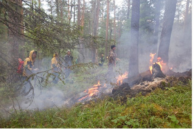 Лесные пожары в Якутии локализованы на территории 57 тыс.га