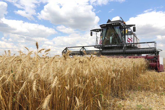 Лучший показатель урожайности был собран в Ростовской области