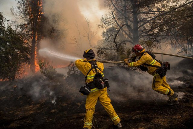 Абрамченко назвала основные правила борьбы с природными пожарами