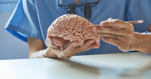 Невролог назвала способ профилактики Альцгеймера