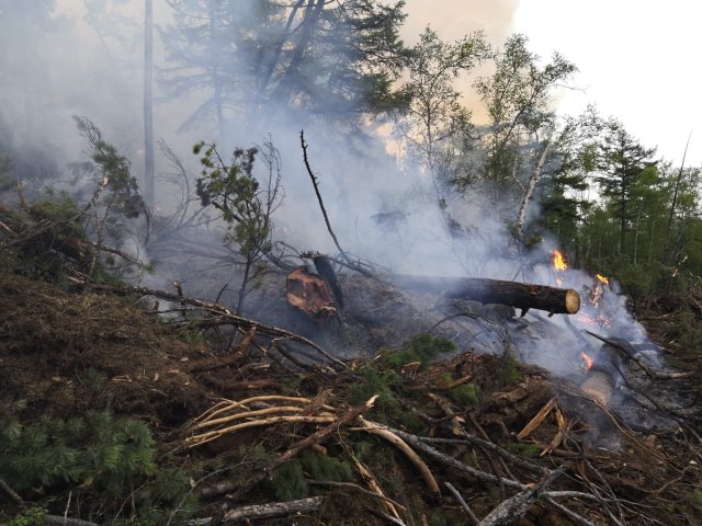 В селе Камчатского края был локализирован крупный пожар