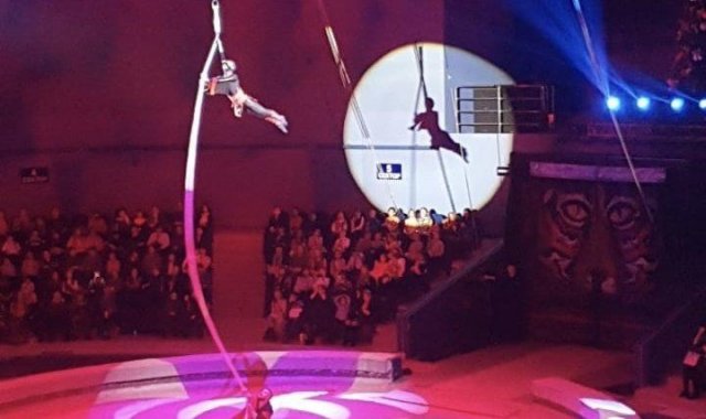 В Новокузнецком цирке сорвались с высоты гимнасты