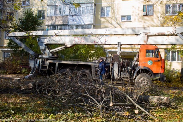 Аварийные деревья были убраны с улиц Рязани