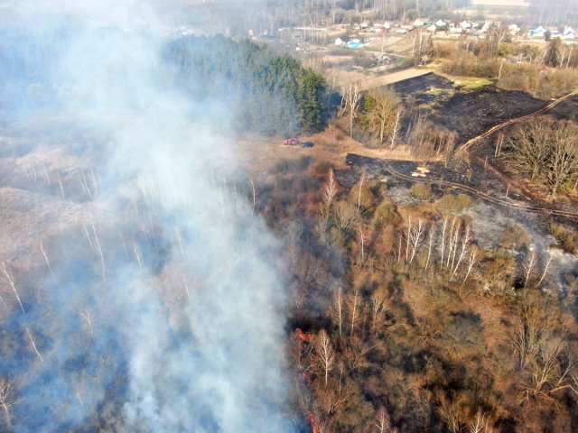 Жителя Брянска обязали выплатить сумму в размере 2,4 млн. рублей за сгоревший лес