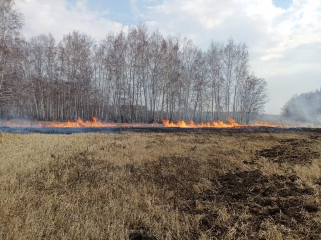В Амурской области объявили о завершении пожароопасного сезона