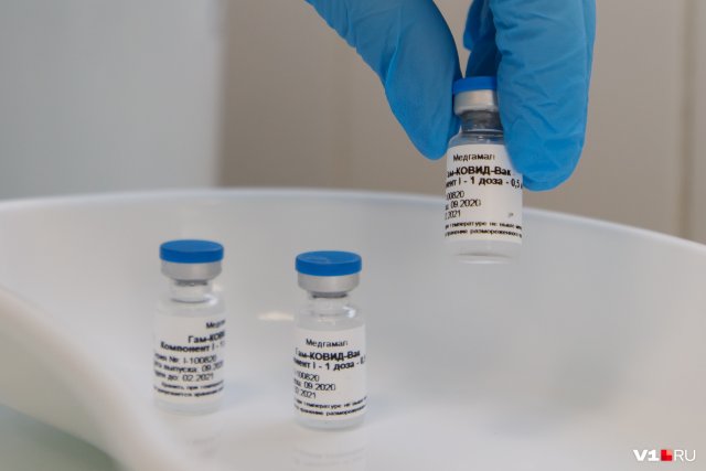 Российские учёные работают над созданием «кефирной» вакцины против коронавируса