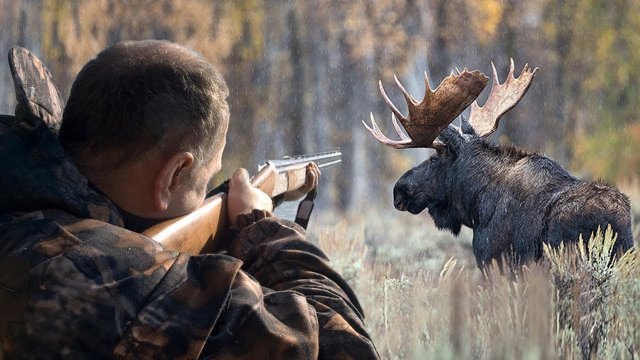 На Урале возбуждено уголовное дело по факту убийства во время охоты