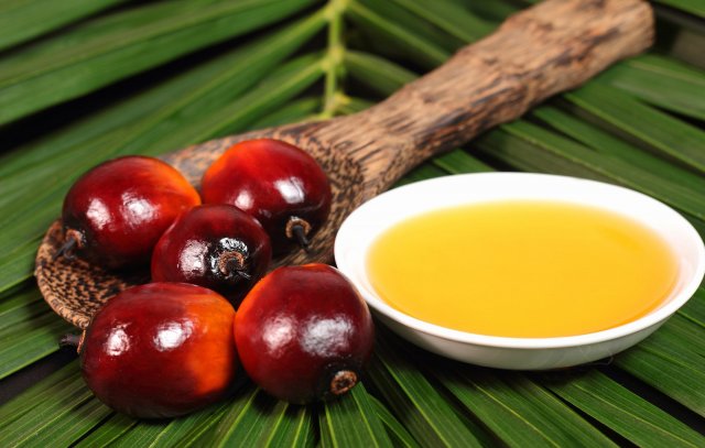 Учёные рассказали о том, почему пальмовое масло опасно для здоровья
