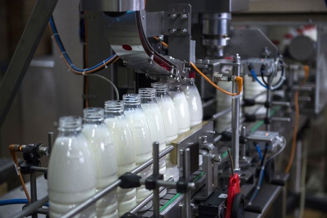 В Вуктыле будет налажено собственное производство молока и мяса