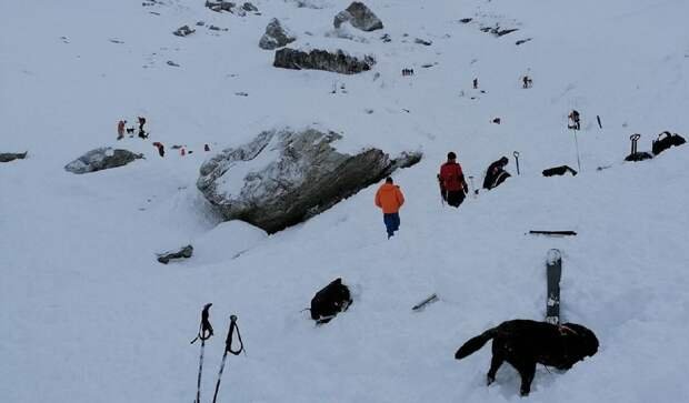 Трое лыжников скончались в Австрии из-за схода лавины