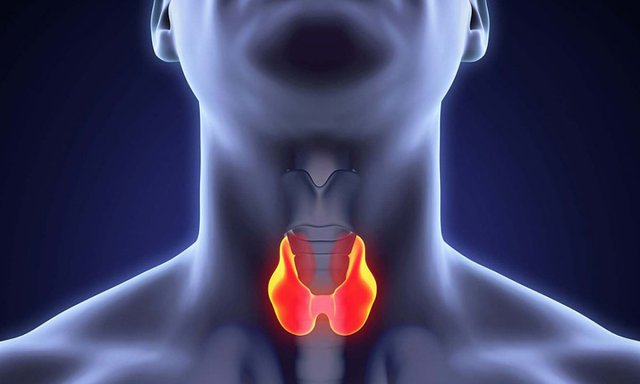 Диетолог Ирина Рыль назвала наиболее полезные продукты для щитовидной железы