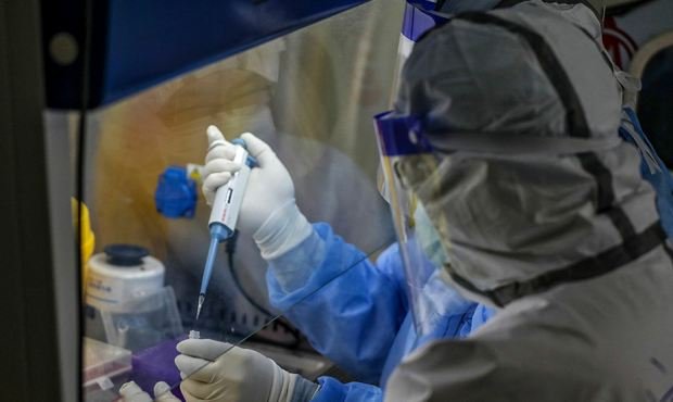 В ВОЗ дали комментарии по поводу обнаруженного нового штамма коронавируса во Франции