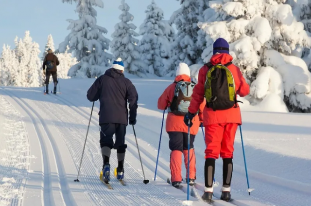 Проверка проводится на Урале по факту травмирования подростка на лыжах
