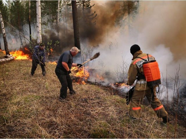 В Приангаре более 1,5 млрд рублей будут направлены на борьбу с пожарами в лесах