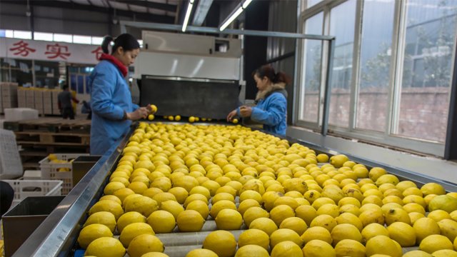 Россельхознадзор сообщил о снятии запрета на поставки цитрусовых из Китая
