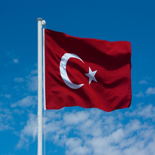 Турция объявила, что не намерена вводить санкции против РФ